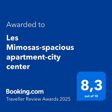 Les Mimosas-spacious Apartment-city Center Apartment *