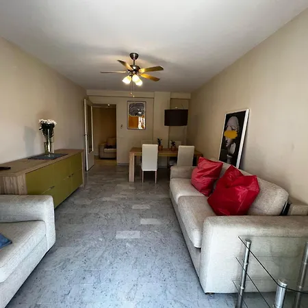 Les Mimosas-spacious Apartment-city Center Cannes
