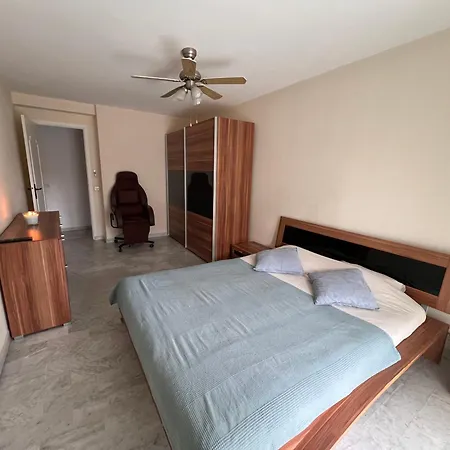 Les Mimosas-spacious Apartment-city Center