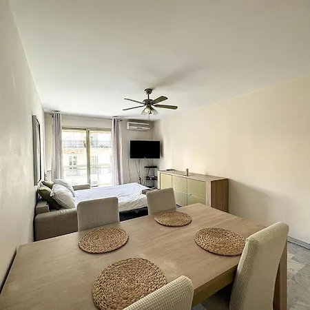 Les Mimosas-spacious Apartment-city Center Cannes